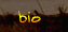 Bio